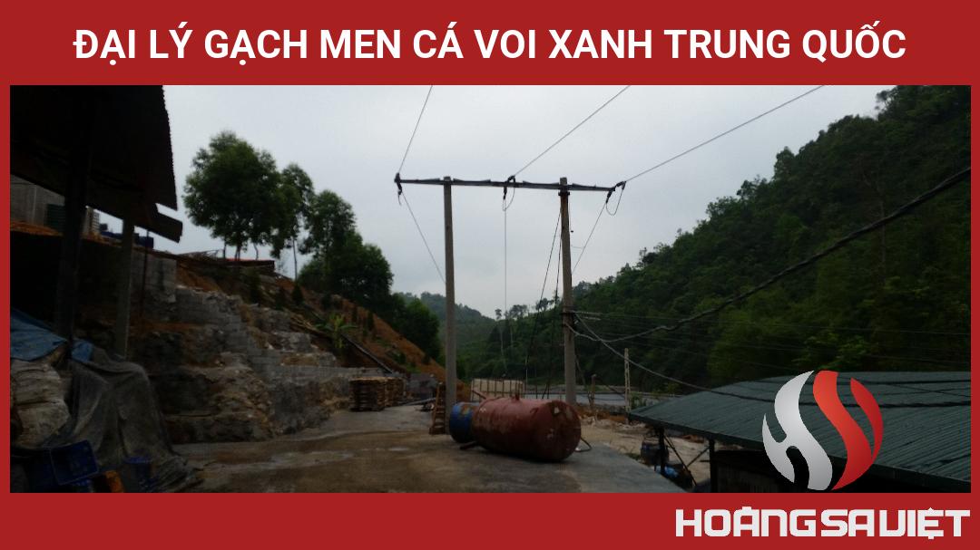 Đại Lý Gạch Men Cá Voi Xanh Trung Quốc Đại Lý Gạch Men Cá Voi Xanh Trung Quốc