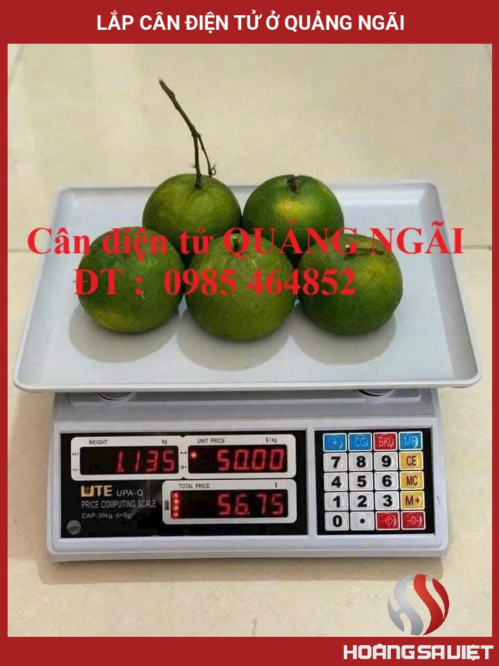 Lắp Cân điện Tử ở Quảng Ngãi Lắp Cân điện Tử ở Quảng Ngãi