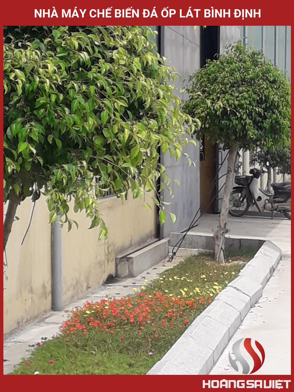 Nhà Máy Chế Biến đá ốp Lát Bình Định Nhà Máy Chế Biến đá ốp Lát Bình Định
