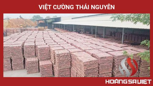 Việt Cường Thái Nguyên Việt Cường Thái Nguyên