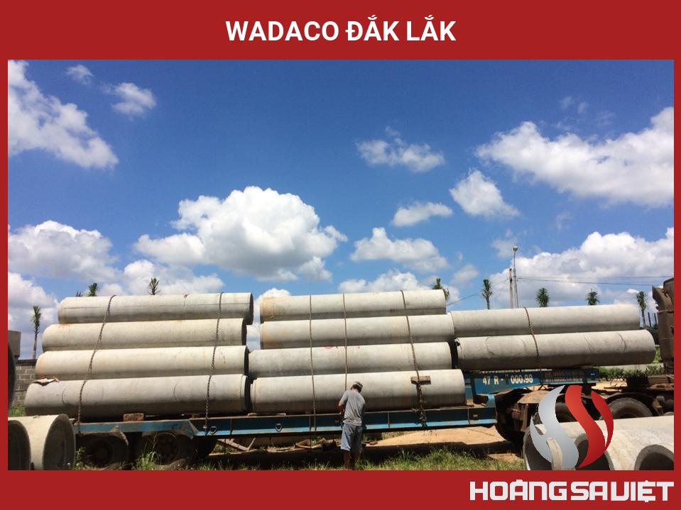 Wadaco Đắk Lắk Wadaco Đắk Lắk
