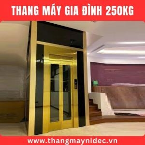 250Kg Home Elevator ⭐New Price 2025