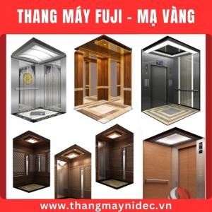 Fuji Elevator Price 350Kg - 450Kg Fuji Elevator Price 350Kg - 450Kg